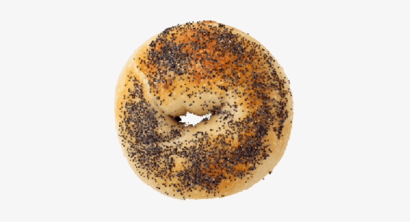 Authentic New York In Shanghai - Bagel, transparent png download