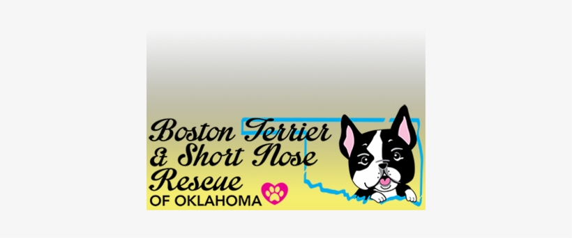 Preview Overlay - Aqua, transparent png download