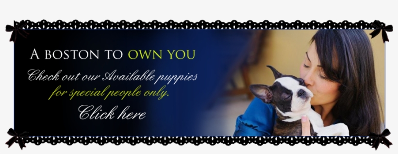 happy mothers day boston terrier