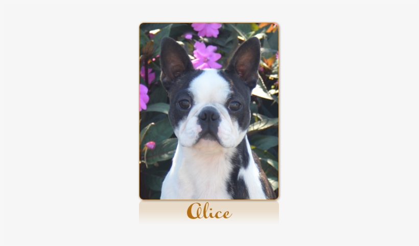 Thank You Grace Quinlan, Sarah Kennedy And Vicki Valiton - Northern California, transparent png download