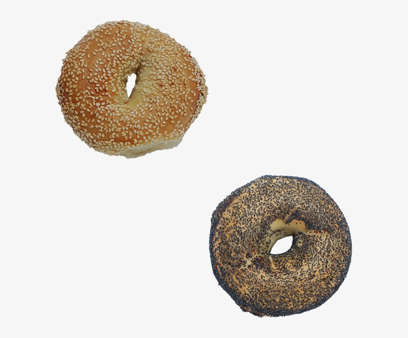 Gourmet Bagels, Baked From Scratch In Each Shop - Big Daddy Bagels, transparent png download