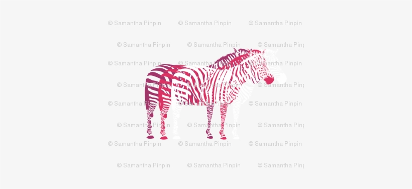 Zebra Savanna - Zebra, transparent png download