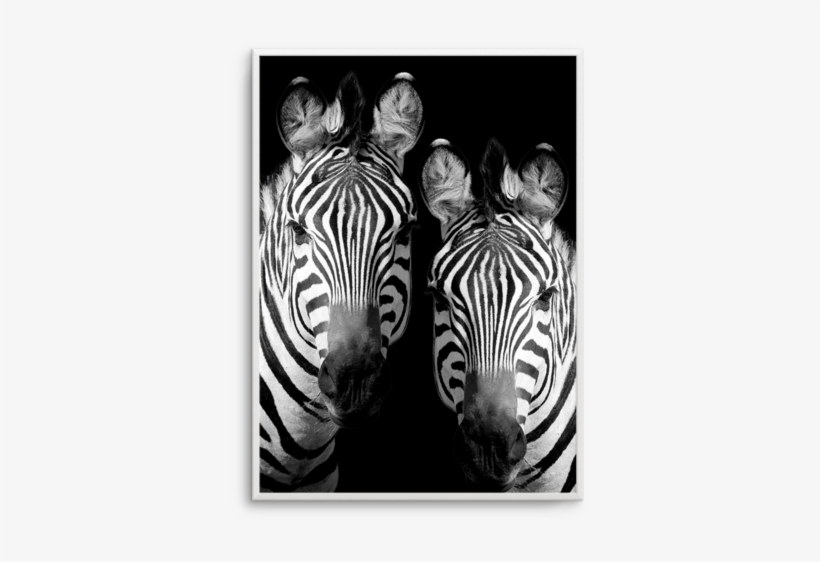 Zebra De Nuit - Zebras In The Dark, transparent png download
