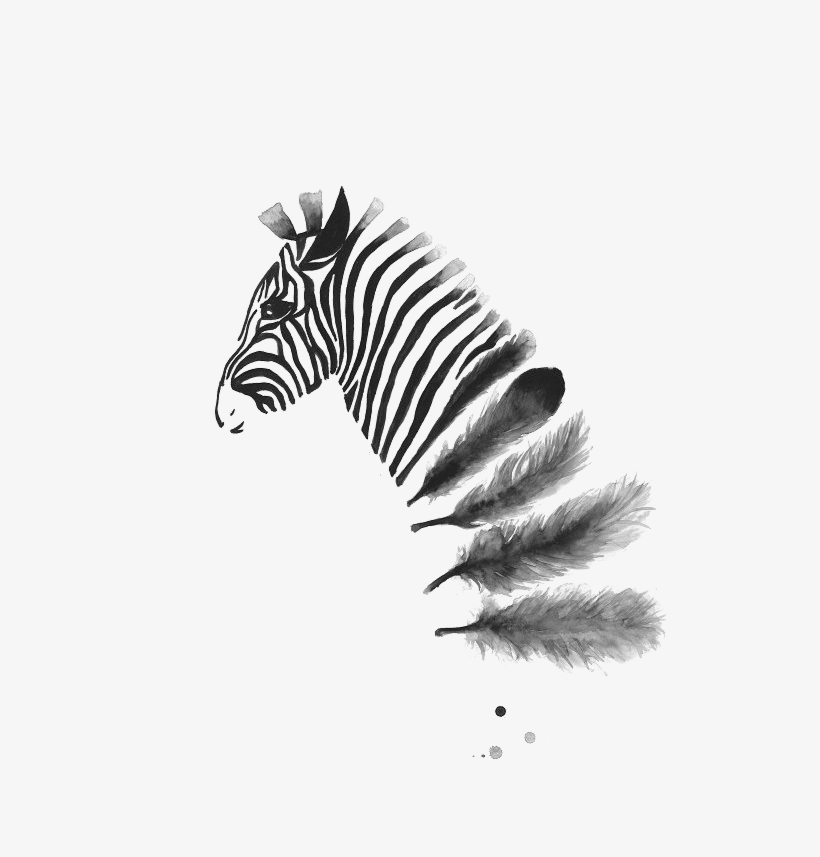 Zebra Ink Wash Into Feathers Pinned By Issy Wilson - A4 Black And White Prints, transparent png download