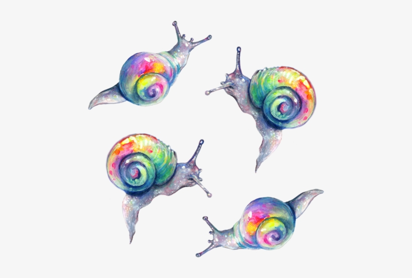 Rainow Snails - Tanya Shatseva Snails, transparent png download