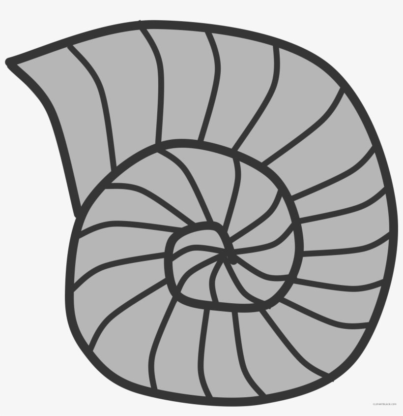 Snail Shell Animal Free - Fossil Clip Art, transparent png download
