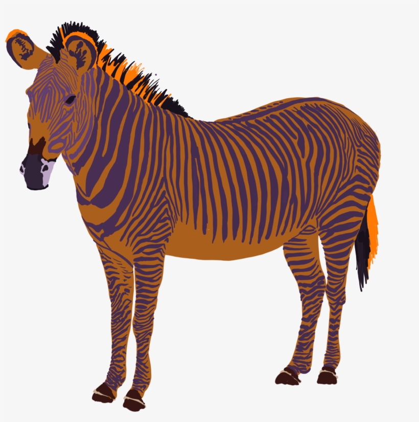 Zebra, transparent png download