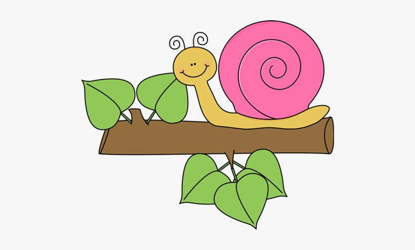 Cute - Snail Clip Art Free, transparent png download