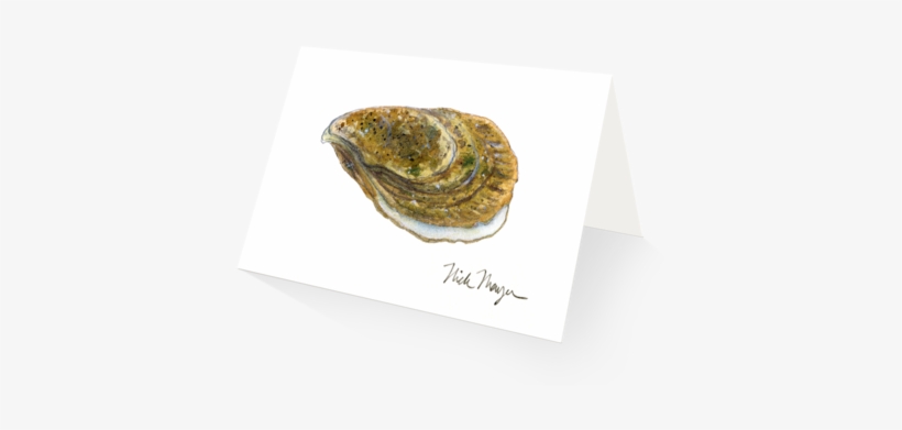 Atlantic Oyster - Eastern Oyster, transparent png download