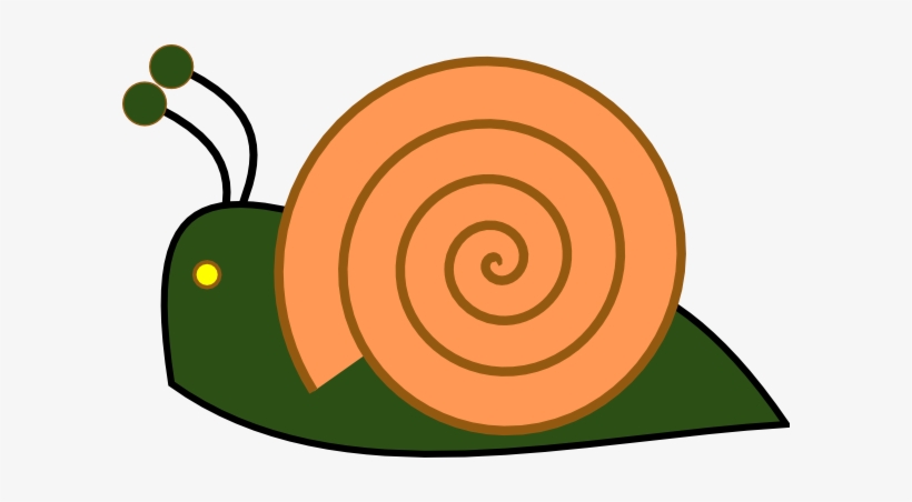Snail 13, transparent png download