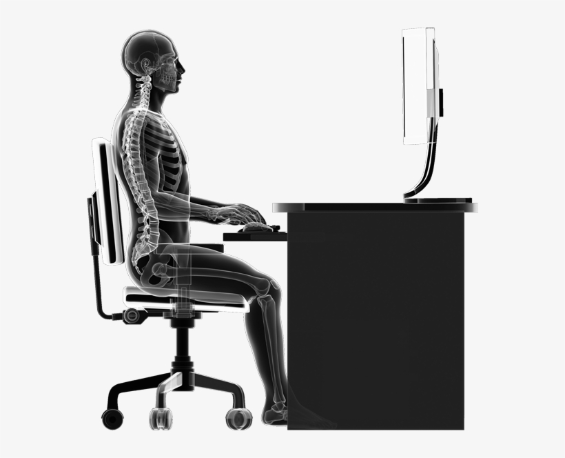 Drawing With An Xray Effect Of A Person Sitting At - Bac< Backboard Portable Back Posture Support ,black, transparent png download