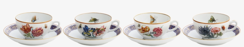 Mottahedeh France Mottahedeh Merian Cup & Saucer, transparent png download