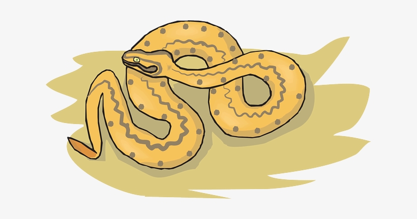 Free Vector Graphic - Snakes, transparent png download