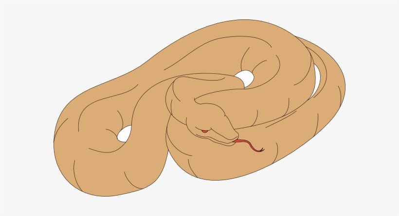 Snake Sleeping Clipart, transparent png download