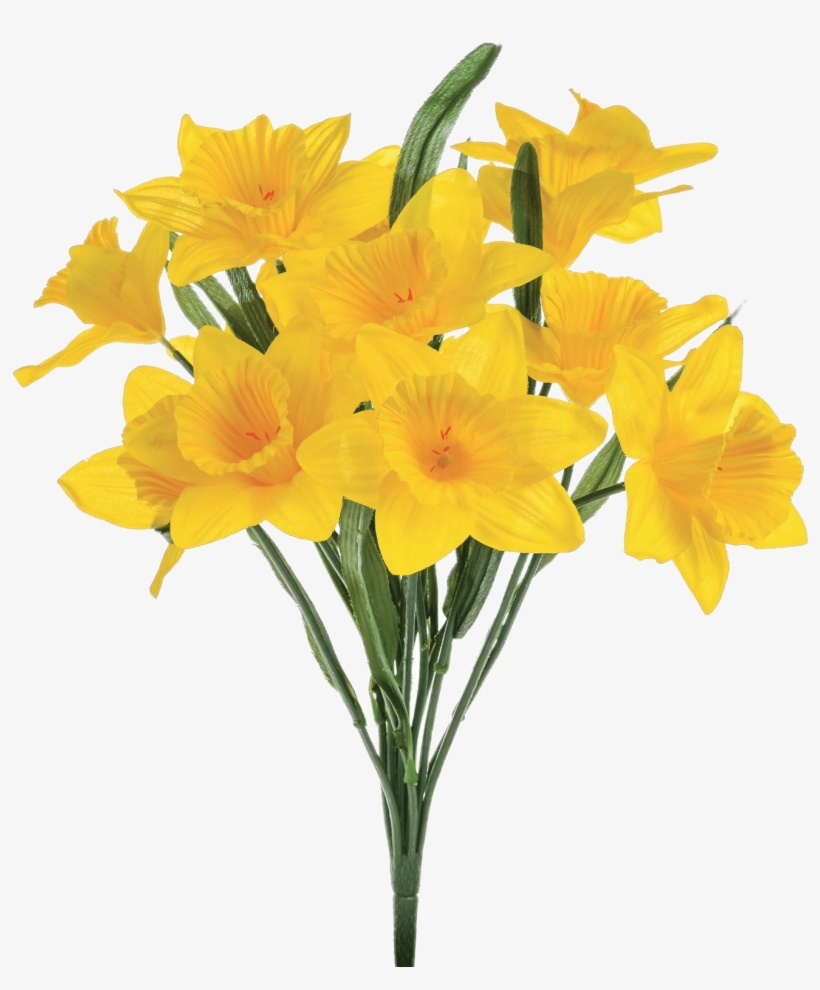 Artificial Daffodils Transparent Png - Daffodil Png, transparent png download