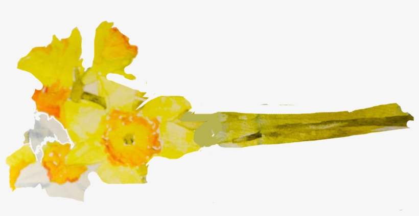 No Matter How I Memorize Them, I Just Enjoy Seeing - Watercolor Painting, transparent png download