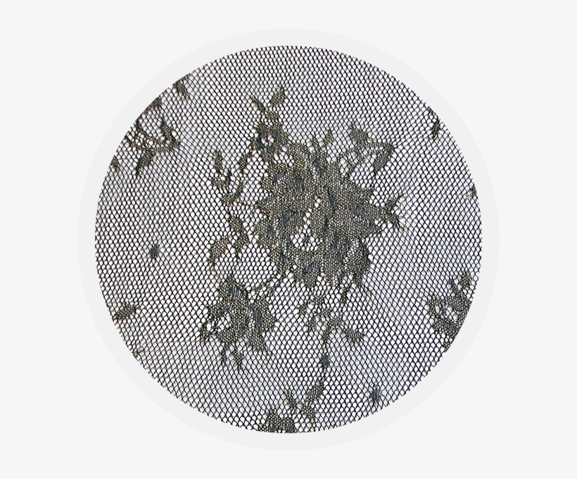 Damaris Gold On Black Raschel Lace - Brane, transparent png download