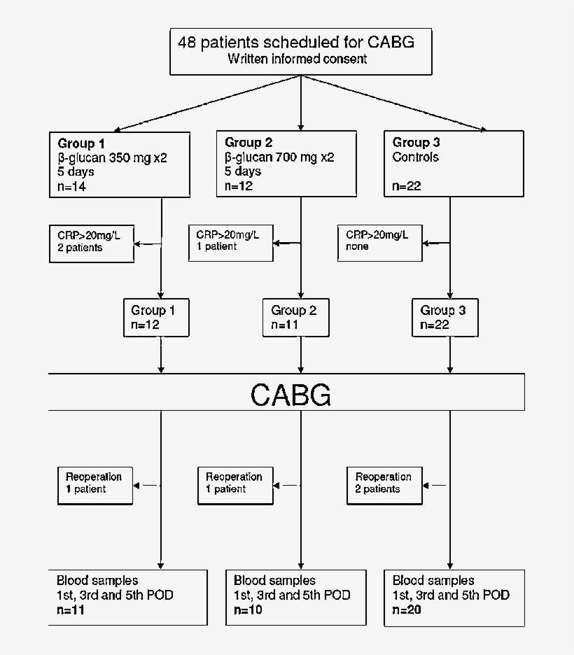 Study Outline - - Diagram, transparent png download