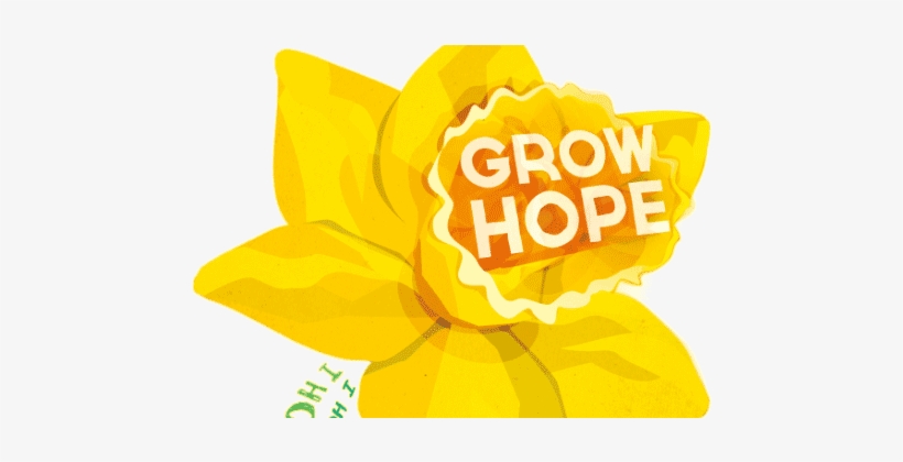 Daffodil Day, transparent png download