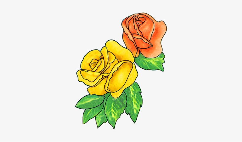 Peppermint Rose Plant Clip Art - Flower Drawings Clip Art, transparent png download