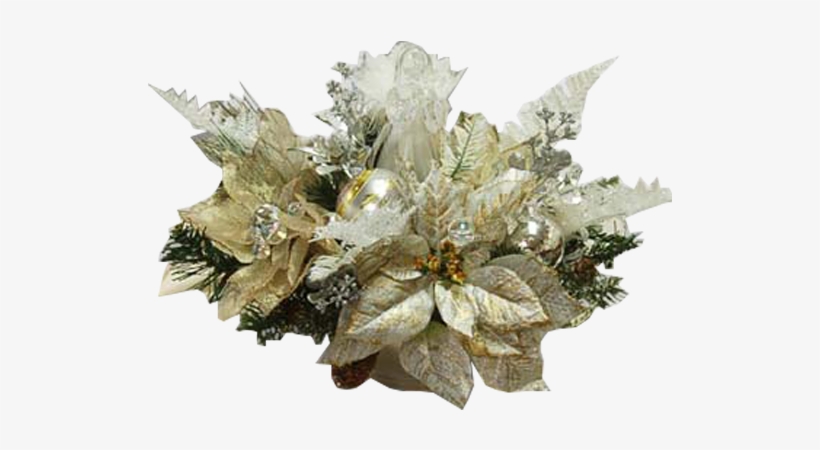 Golden Glow - Florida, transparent png download