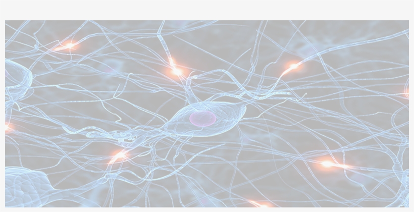 Inspire Lab - Unravelling Science- Biology Coursebook By Pearson, transparent png download