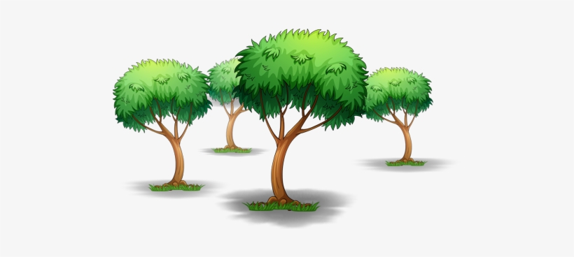 Tree Illustration - Ped-paudhon Ki Ashcharyajanak Baaten, transparent png download