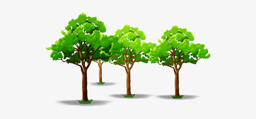 Tree Illustrations - Illustration, transparent png download
