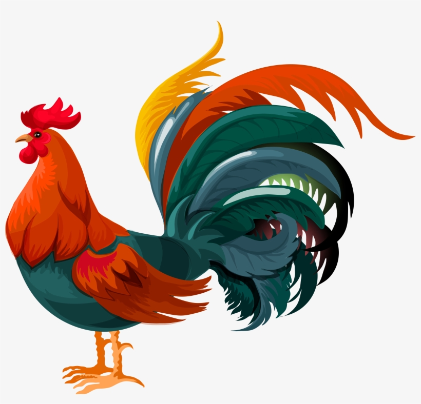 Rooster Png, transparent png download