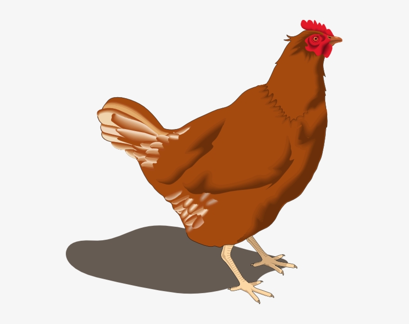 Rooster Clipart Hen - Hen Png, transparent png download
