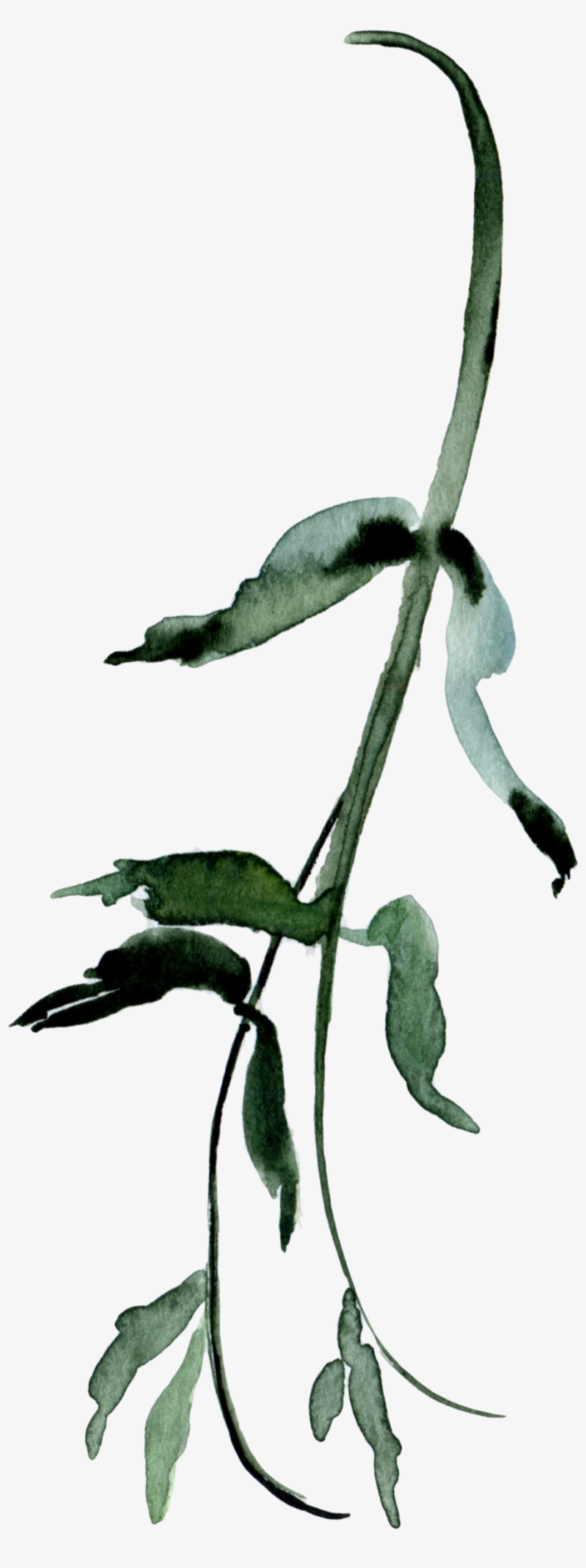 Illustration, transparent png download