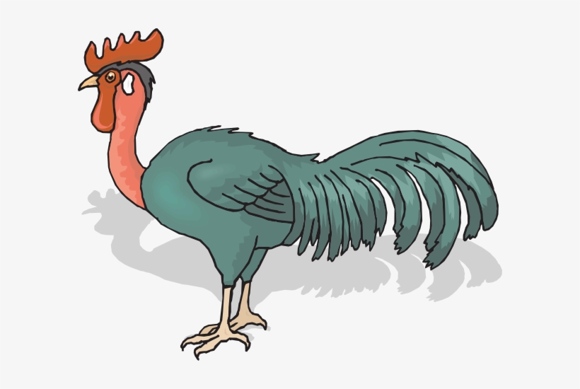 And Red Rooster, transparent png download