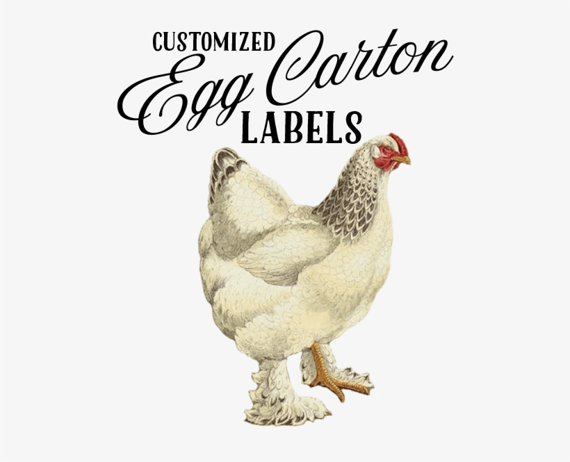 Add To Wishlist Loading - Chicken, transparent png download