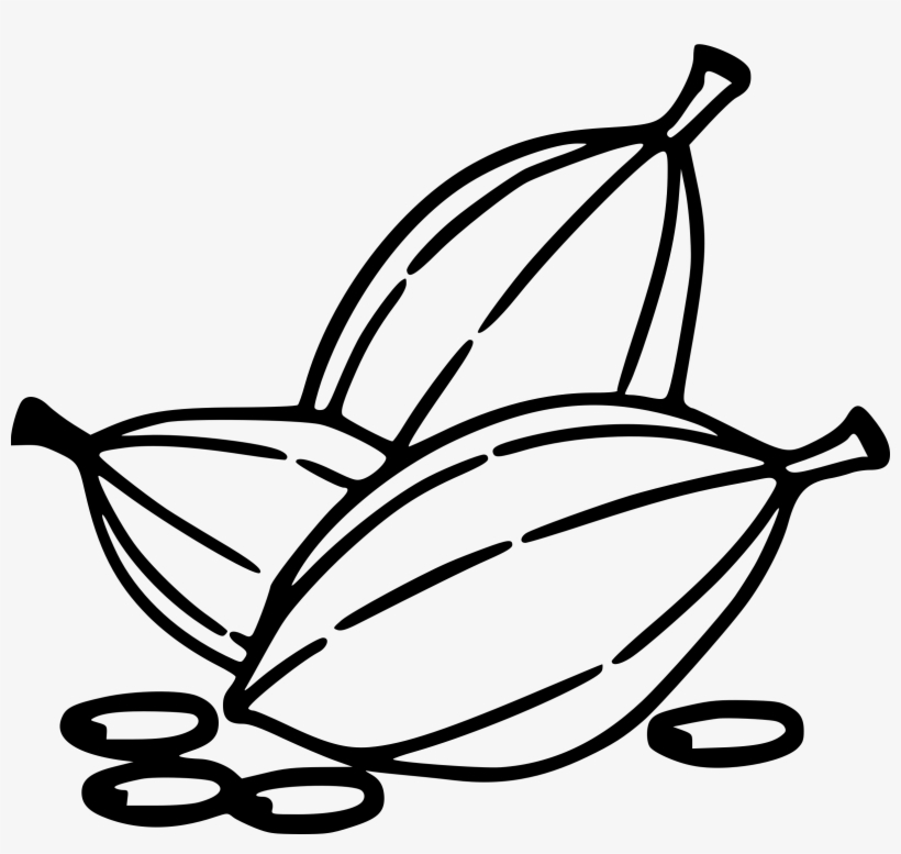 Beans Big Image Png - Cocoa Clipart Black And White, transparent png download