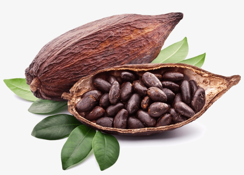 Cocoa Bean Png - Cocoa Png, transparent png download