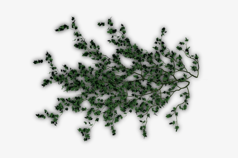 366k Creepers E - Pattern, transparent png download