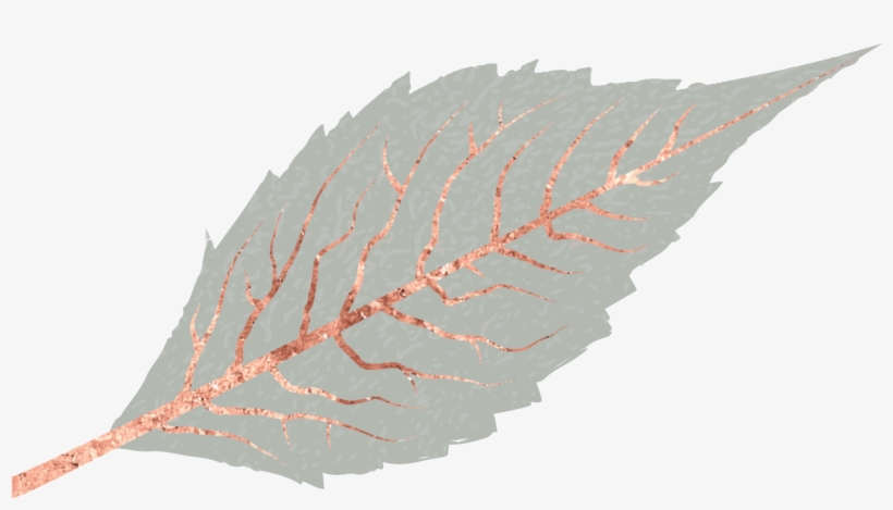 Archive - Wood, transparent png download