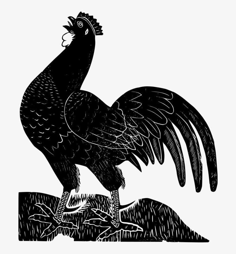 Black Rooster, transparent png download