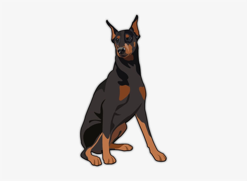 Doberman Pinscher By Tapash09-d6krqx7 - Doberman Art Png, transparent png download