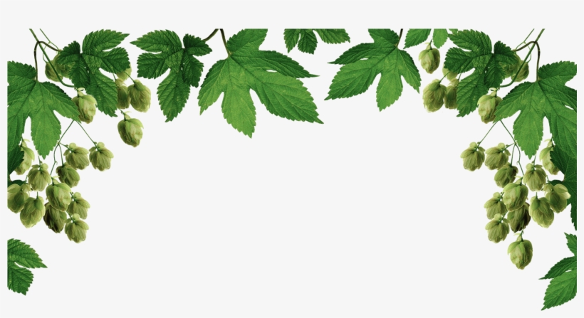 Hop Bin By Fran Doel & Geoff Doel, transparent png download