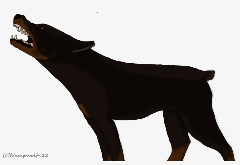 Angry Doberman By Vampwolf 22-d5s3bdk - Dog, transparent png download