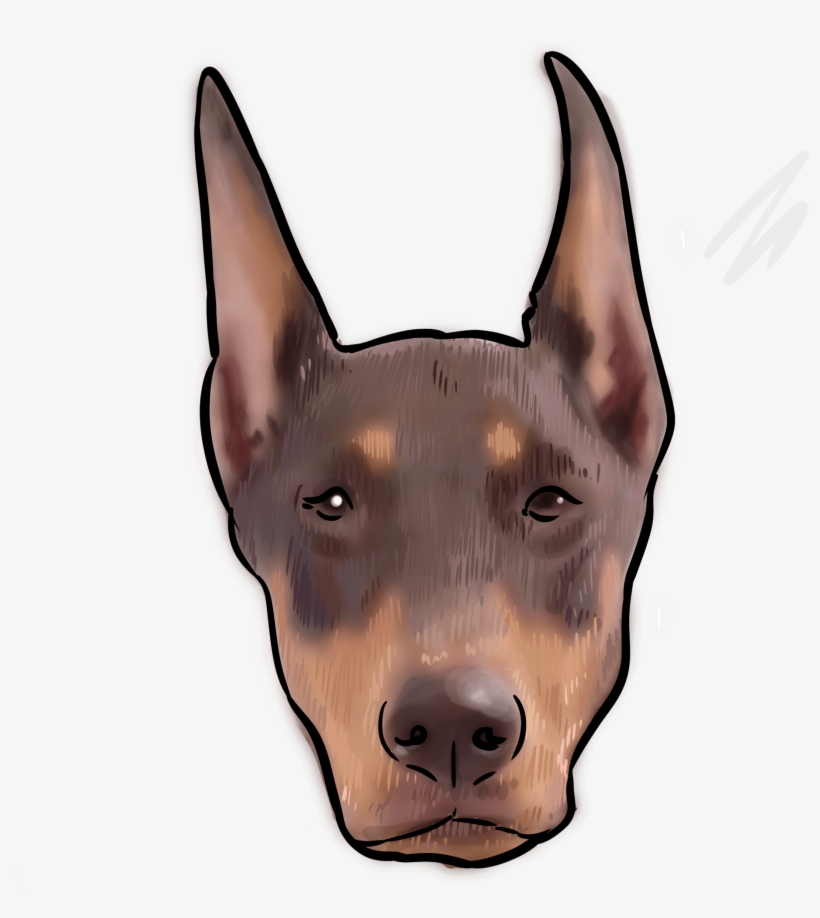 56 Why Are You A Doberman Pinscher - Dobermann, transparent png download
