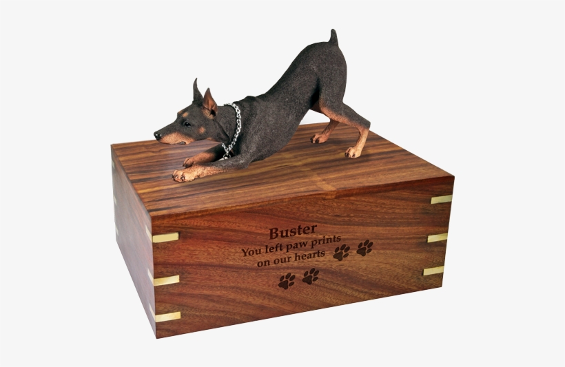 Wholesale Doberman Pinscher Red Engraved Wood Urn - Pinscher, transparent png download