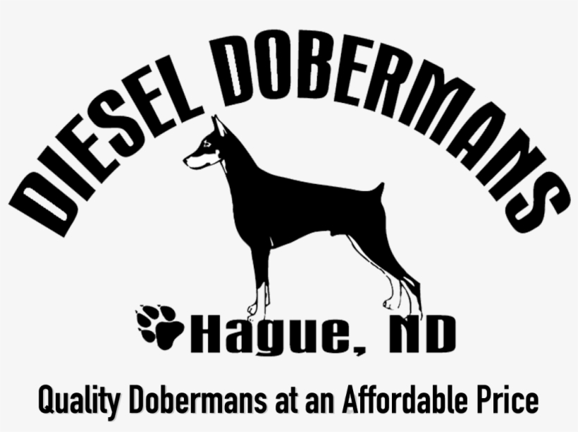 Diesel Dobermans - Day & Zimmermann, transparent png download