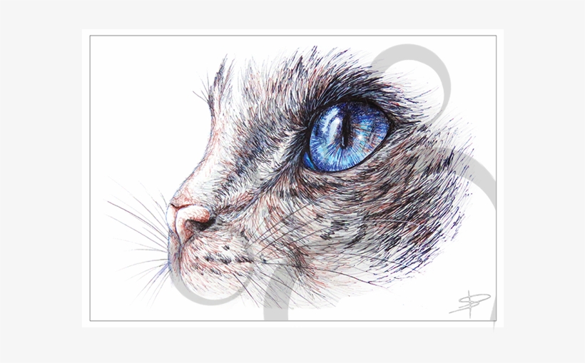 Welcome To The Paw Prints Online Store - Library, transparent png download
