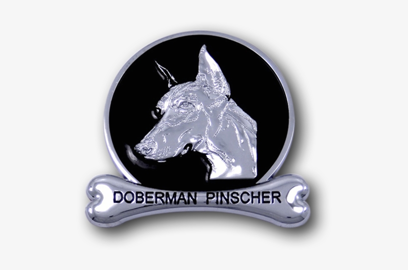 Dog, transparent png download