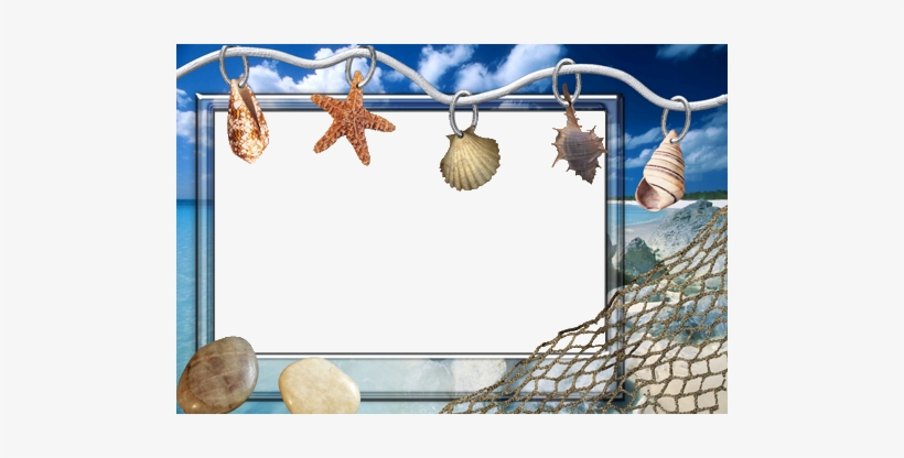 Beatiful Sea Shells - Church Of San Giovanni Battista, transparent png download