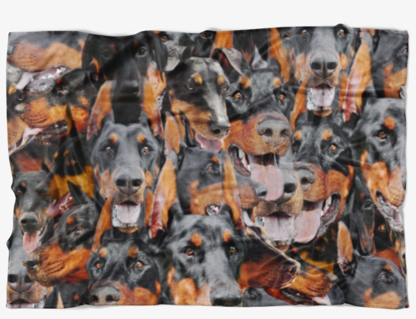 Dobermann, transparent png download