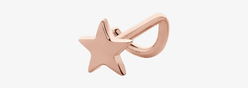 Echinoderm, transparent png download