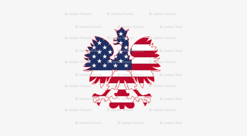 Polish American Eagle - Polish American Flag, transparent png download